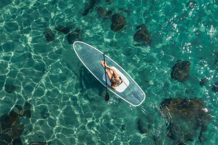 a group of people swimming in a body of water
