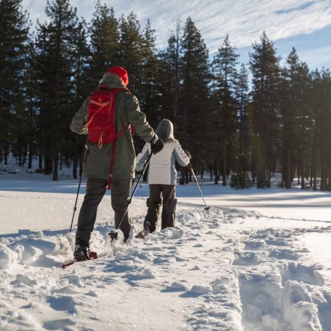 a man is cross country skiing on a snow covered slope