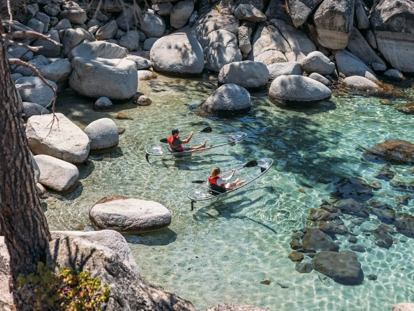 a close up of a rock near the ocean